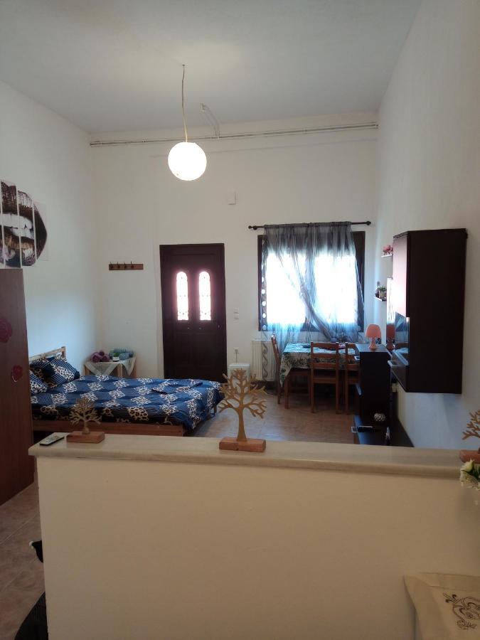Tzoumerka Panorama Prámanda Kültér fotó